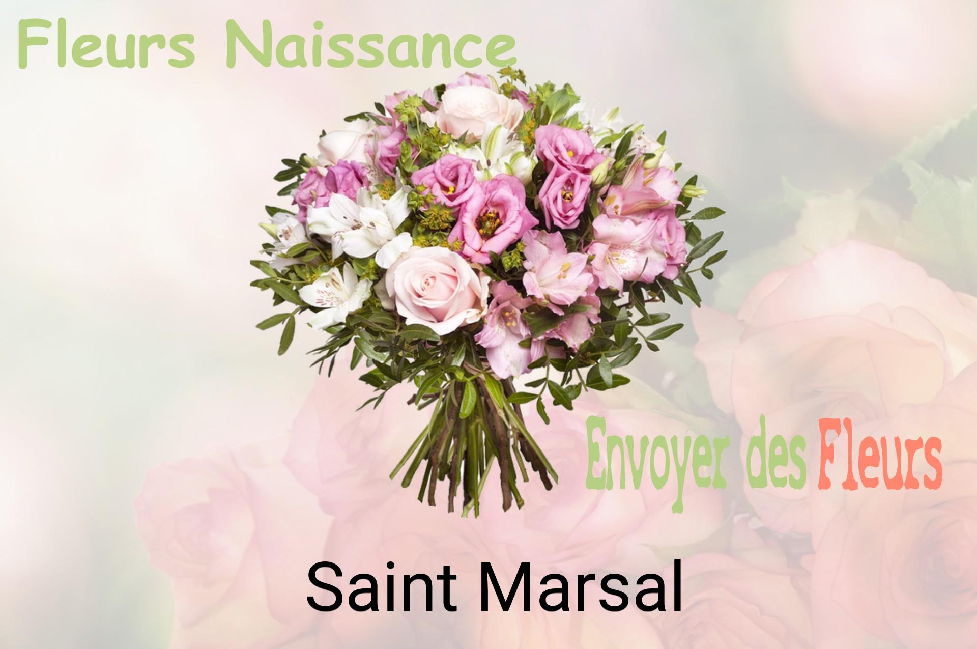 Bouquet de fleurs de naissance livré à Saint-Marsal